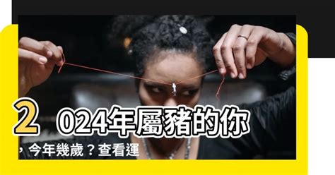 屬豬幾歲虛歲|【屬豬 年份】2024屬豬今年幾歲？屬豬年份年齡查詢，豬年性格。